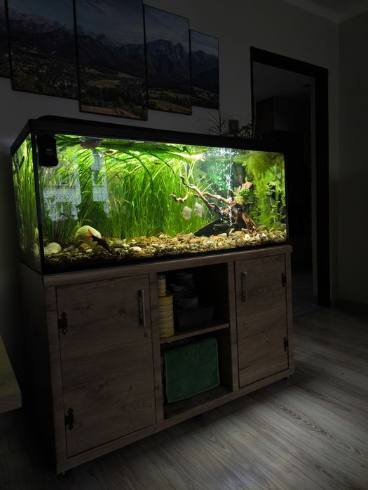 Akwarium 300 l. komplet