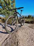 Scapin Geko 29er
