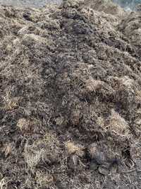 Obornik koński przerobiony zmieszany z ziemia kompost