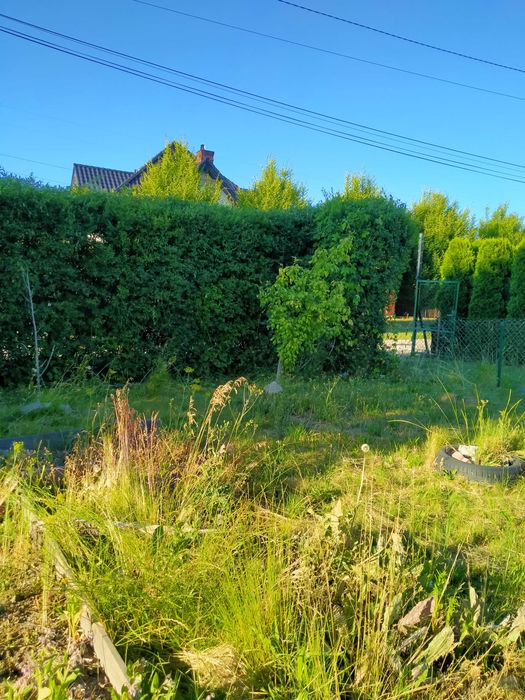 Sprzedam działkę ROD w Krzeszowicach