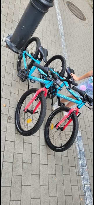 Rower Author Cosmic 20