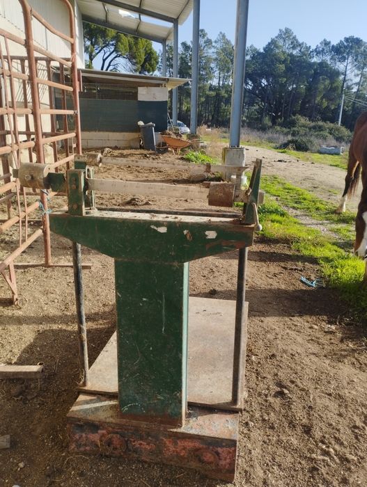 Venda de Balança 1000kg