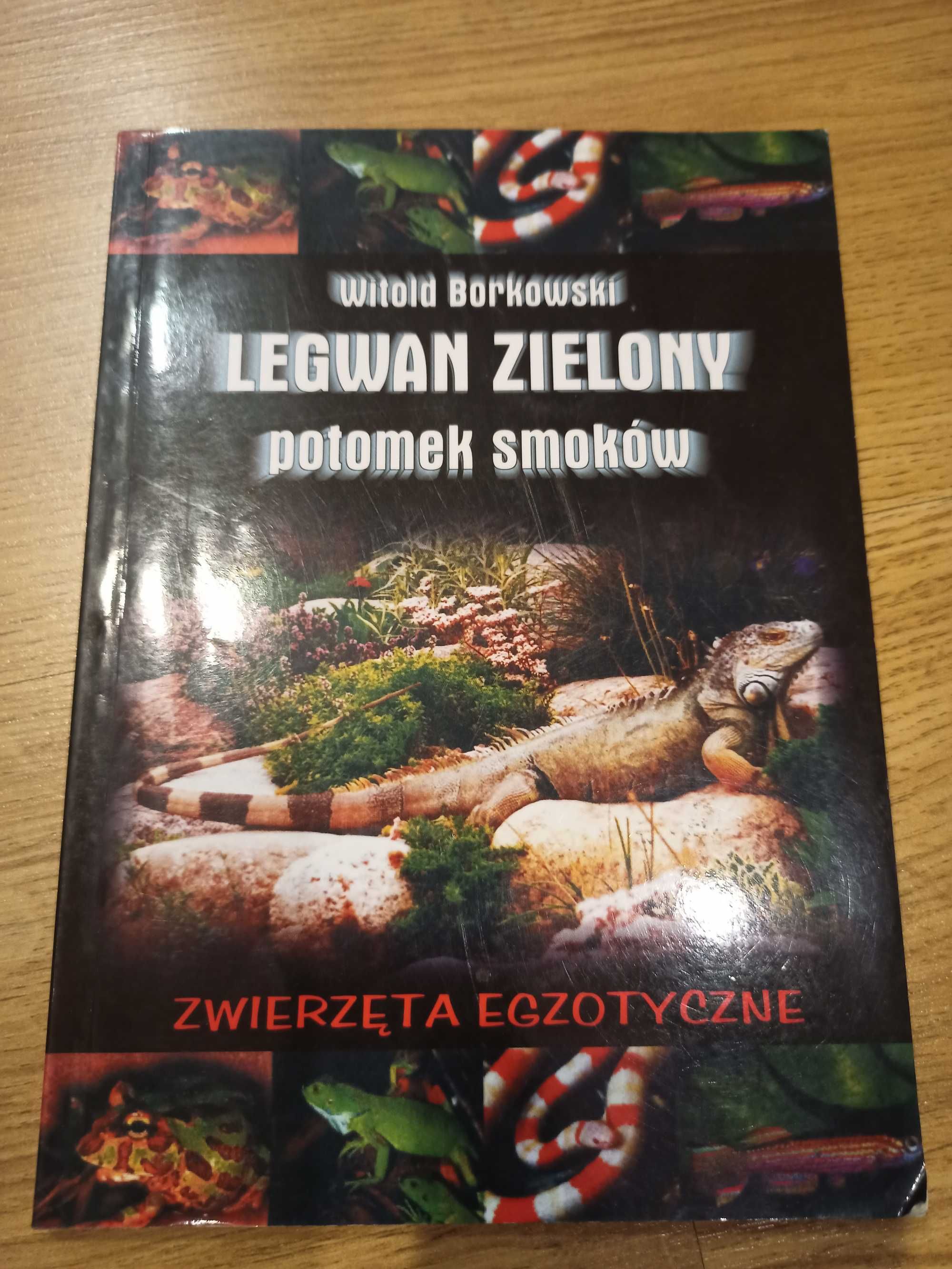 Legwan Zielony Potomek Smoków Witold Borkowski