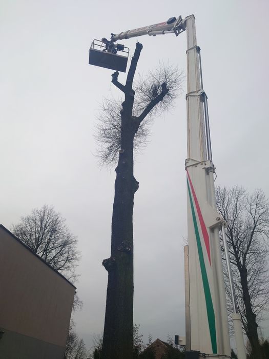 Zwyżka 25m + operator, podnośnik koszowy, wynajem