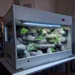 Terrarium na zamówienie dla agamy brodatej 120x60x60