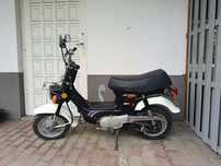Motorynka Jincheng jc 50 smyk
