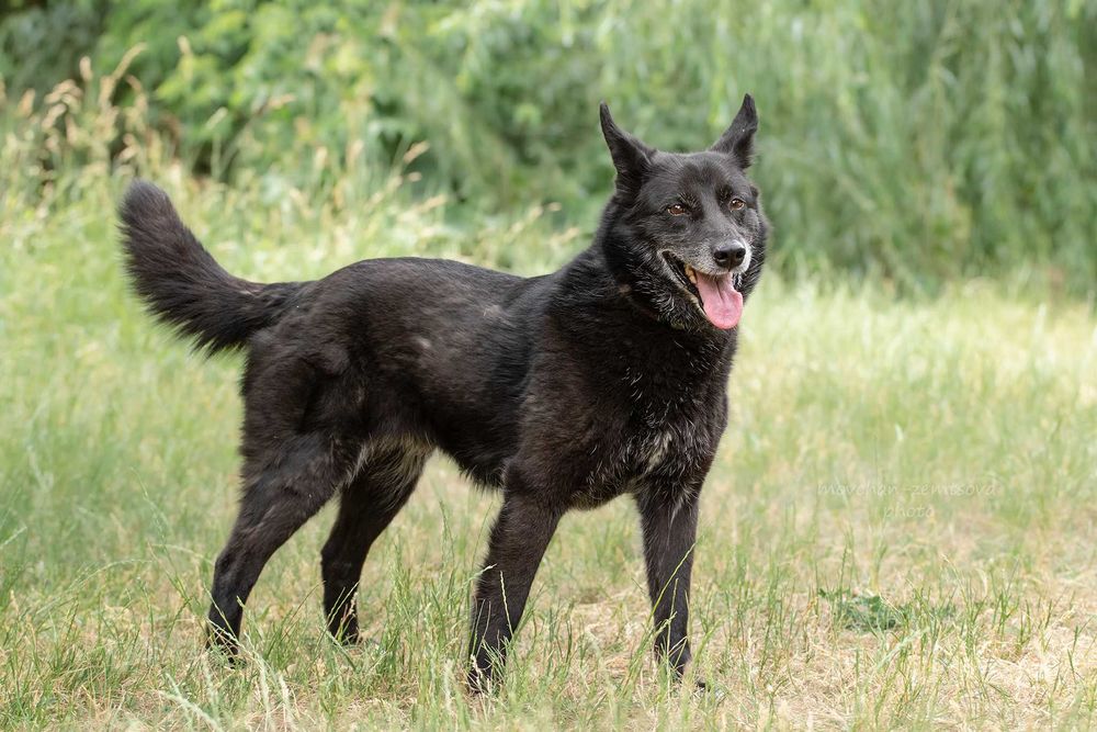 Зара шукає родину