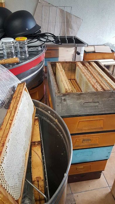 Naturalny MIÓD z własnej pasieki