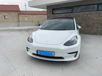 Tesla Model 3 Tração Traseira
