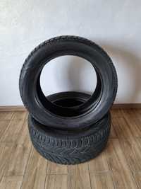 Шини COPER weather–master wsc 255/50R19