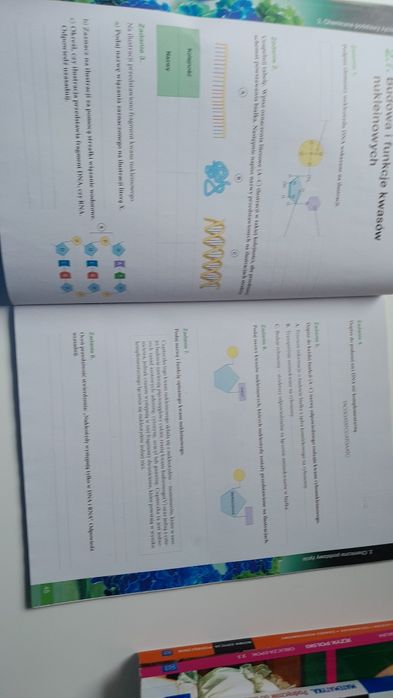 Biologia dla klas 1 liceum karty pracy