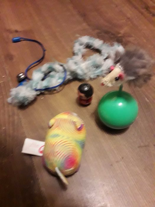 zabawki dla kota zestaw rzeczy