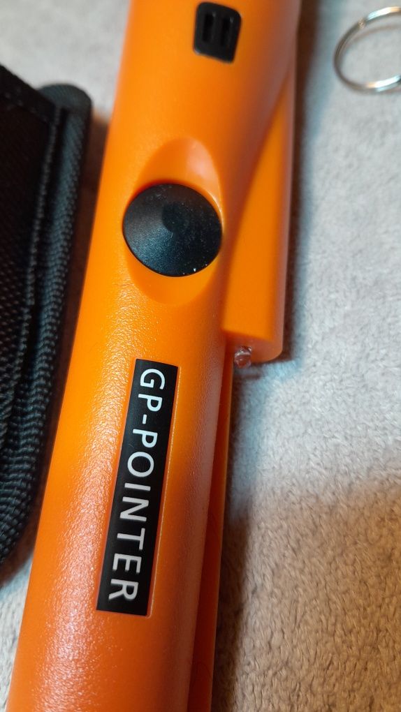 GP - Pointer pomarańczowy