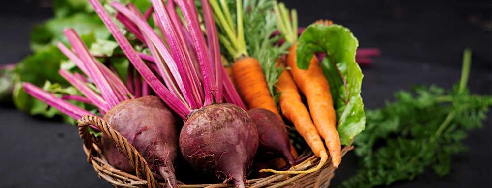 Буряк Столовий Червоний