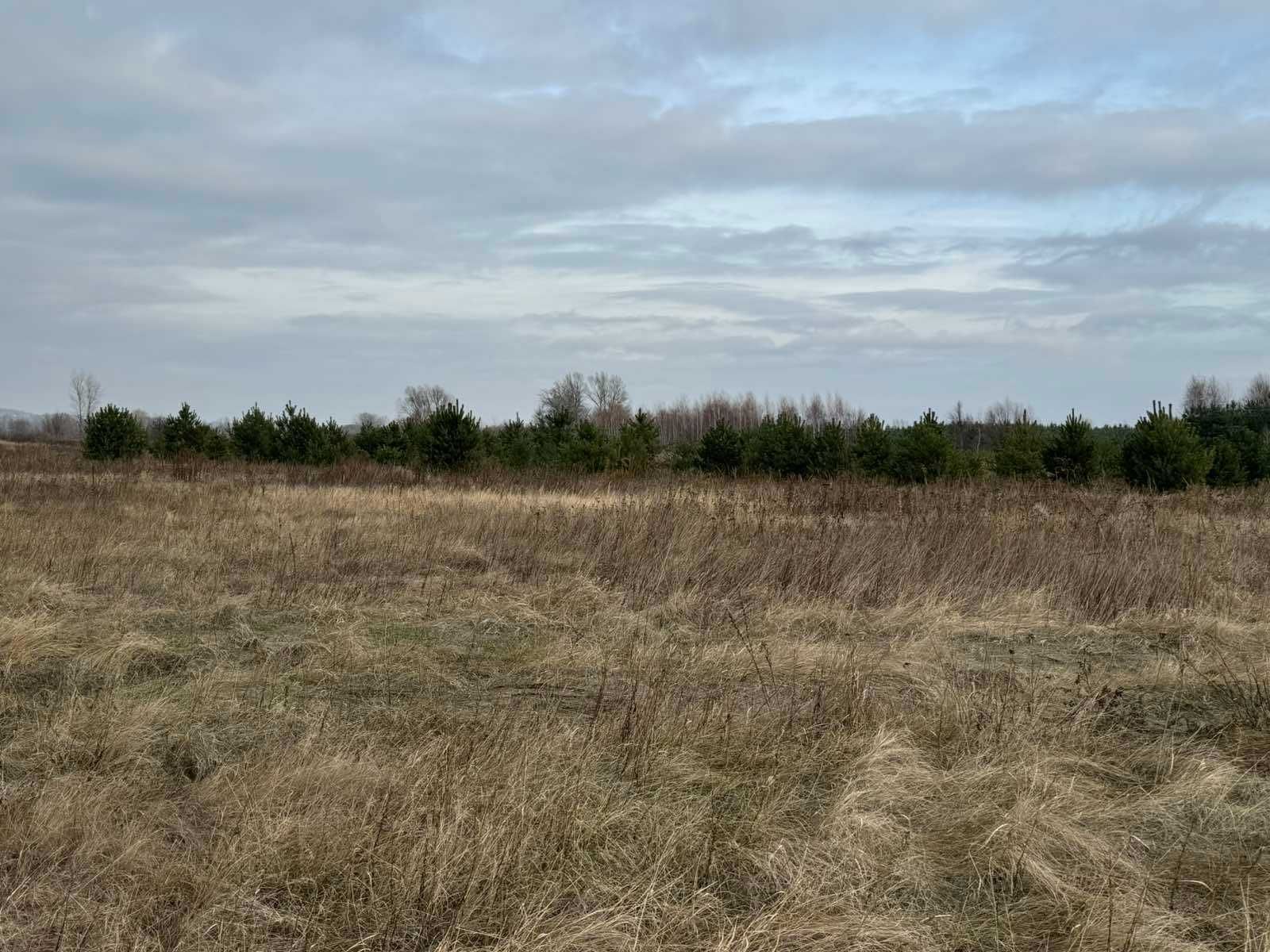 Пай 4 га! З видом на Ліс та Річку!