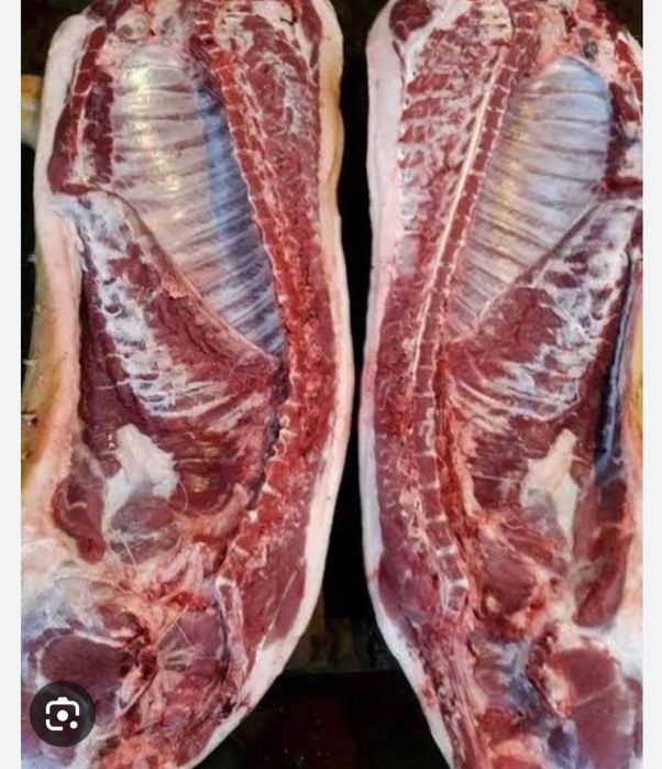 Продам свиню годована домашніх кормах