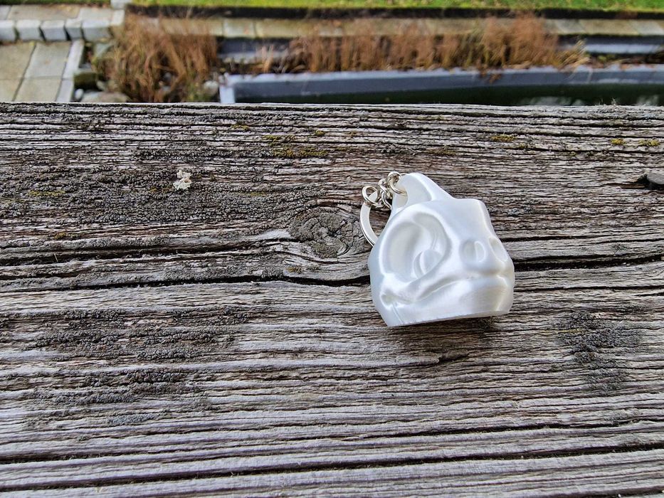 porta chaves cranios animais imprimido 3d