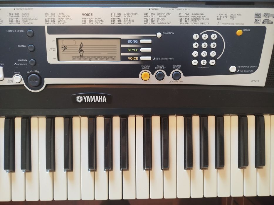Teclado Yamaha YPT-210