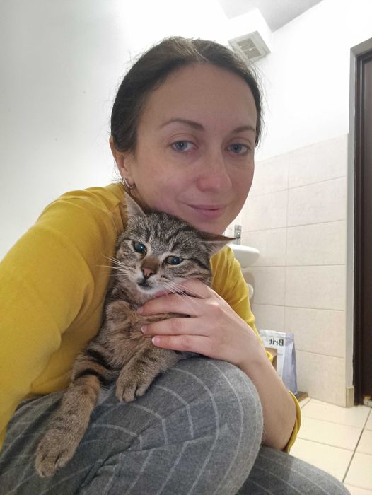 Смугастий зачекався на дім...