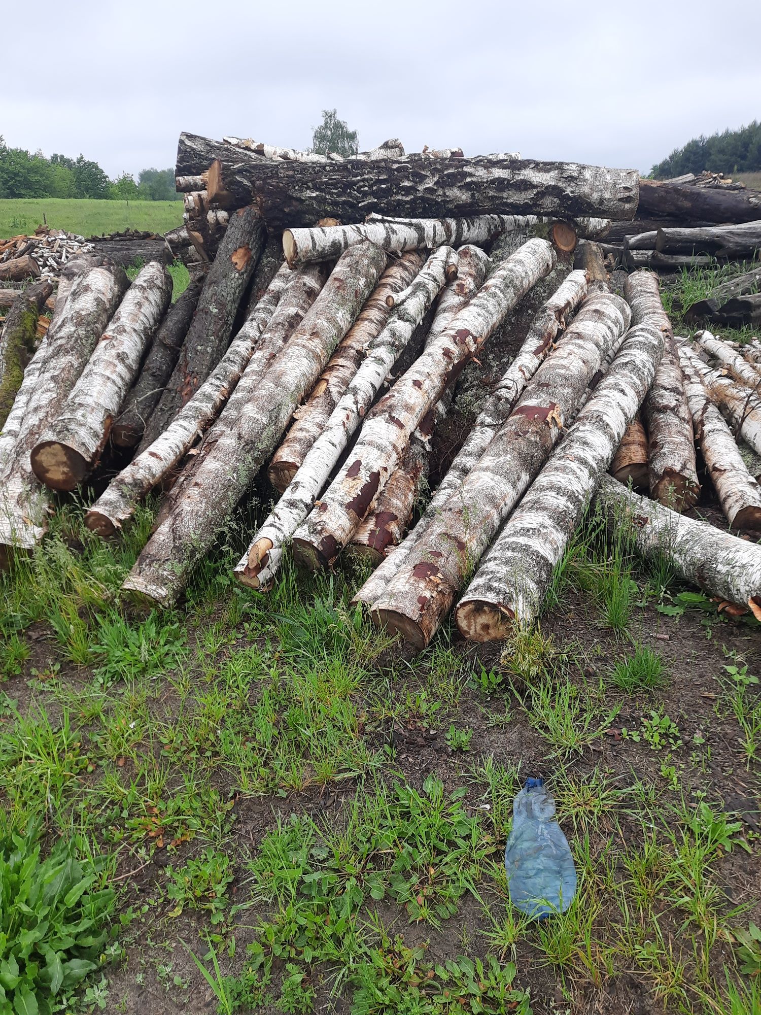 Продам дрова рівненьська область
