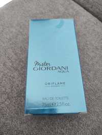 Mister Giordani aqua