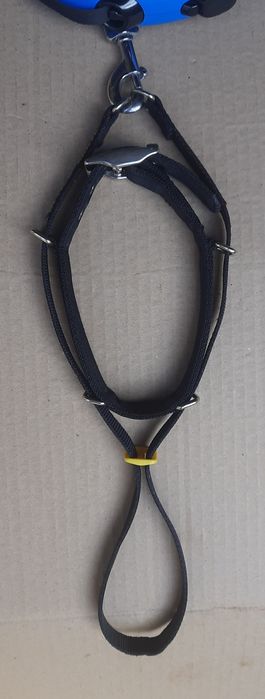 Оригінальний нашийник  Candy Collar 4