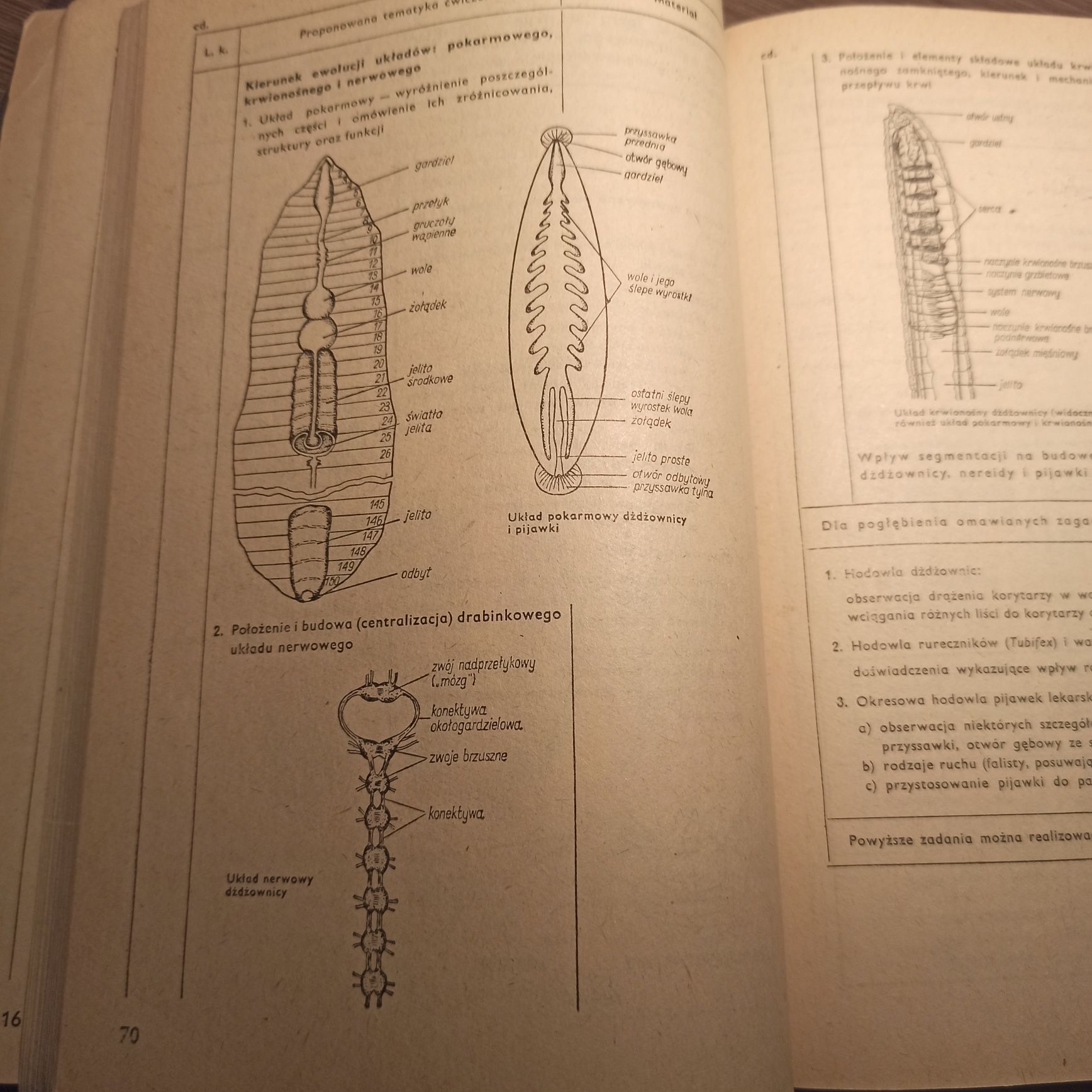 Ćwiczenia z biologii B. Bartecka