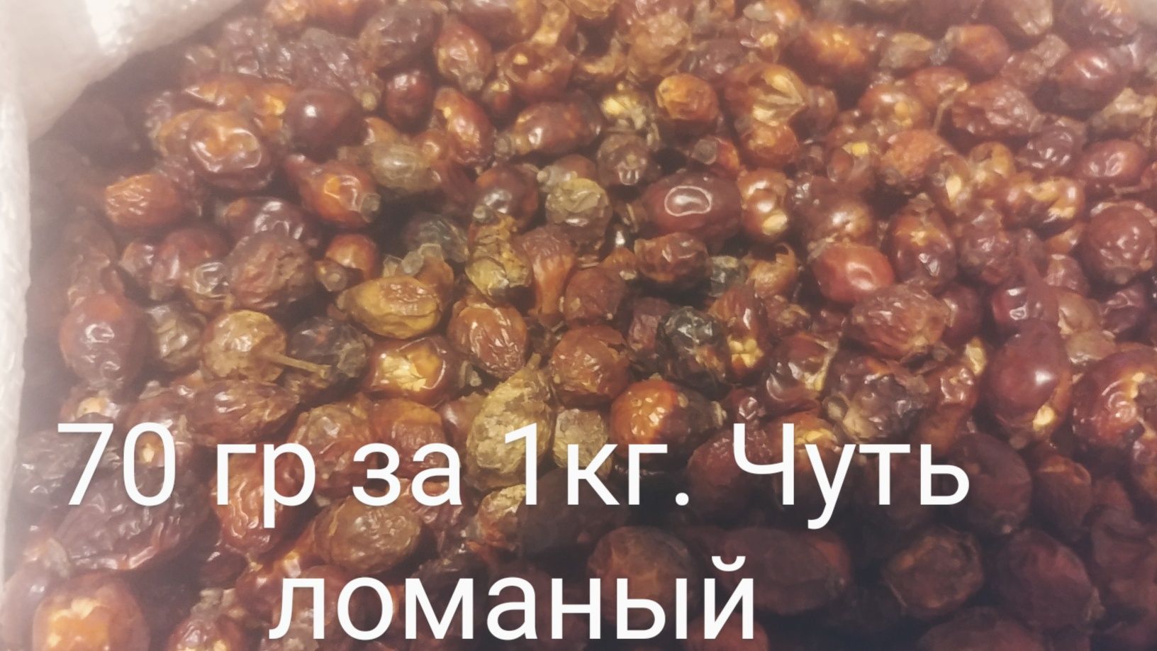 Шиповник или шипшина 2024