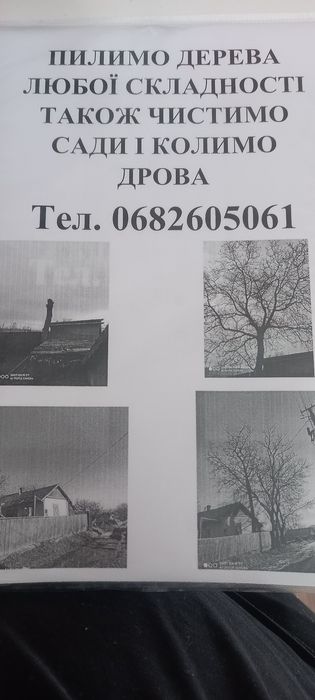 Пилимо дерева...