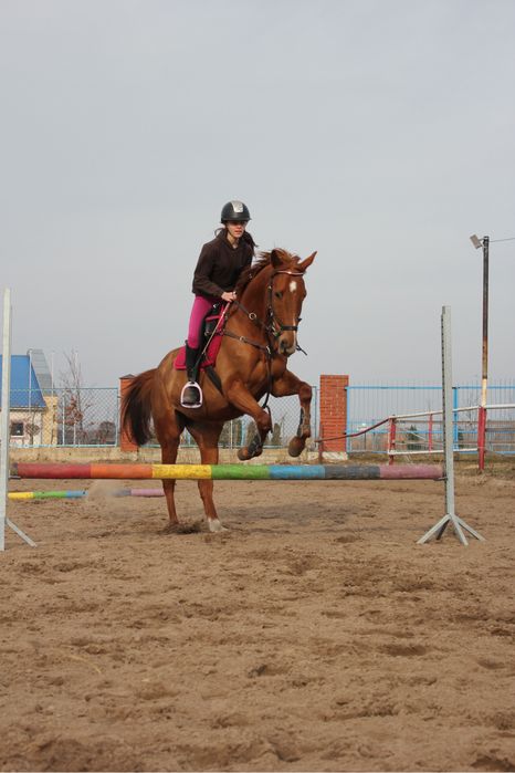 Sprzedam klacz folblut