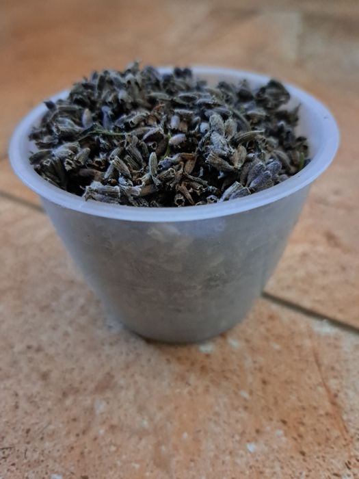 Сушені квіти лаванди