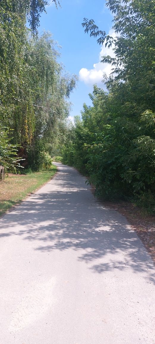 Терміновий продаж ділянок 63 сот., с.Дерев'яна