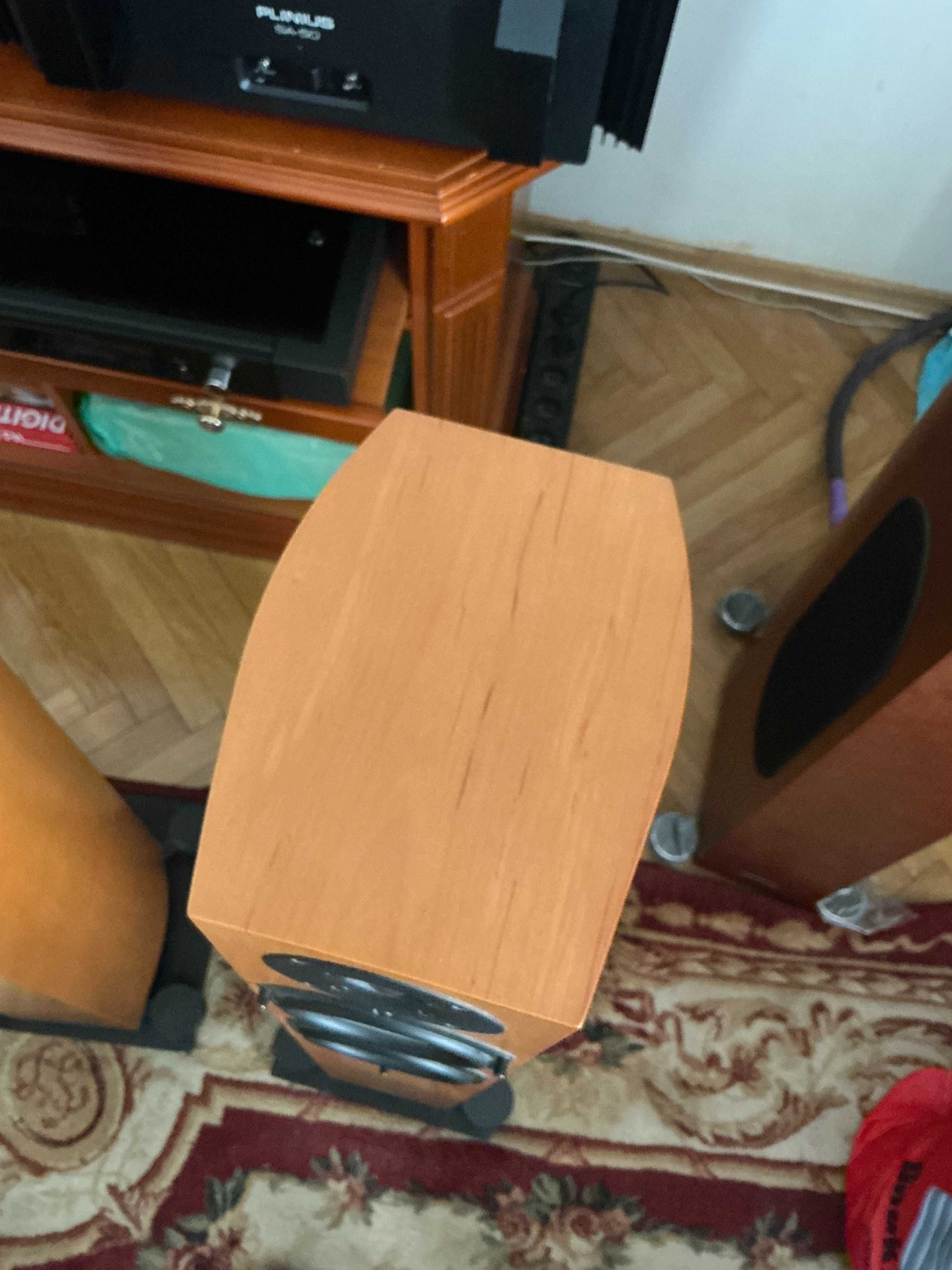 Audio Physic Spark 5