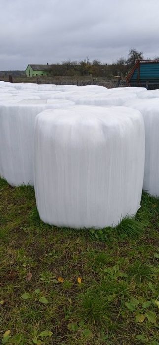 Sprzedam bele sianokiszonki