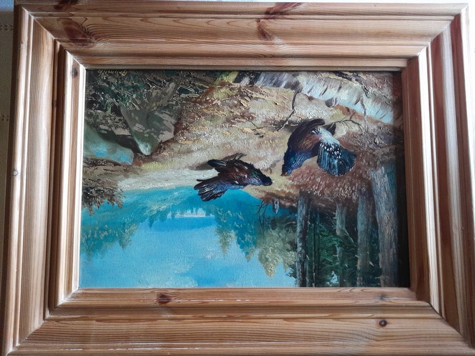 Myślistwo, tok cietrzewi.