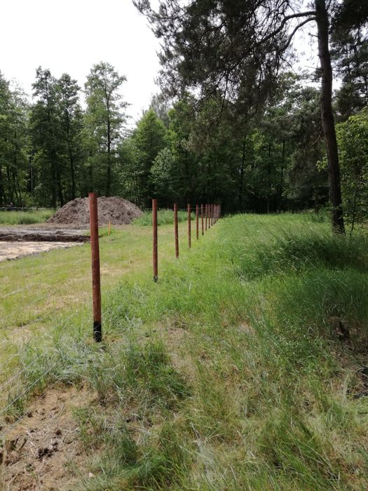 Ogrodzenie z siatki leśnej,ogrodzenie budowlane siatka lesna 15zł/mb