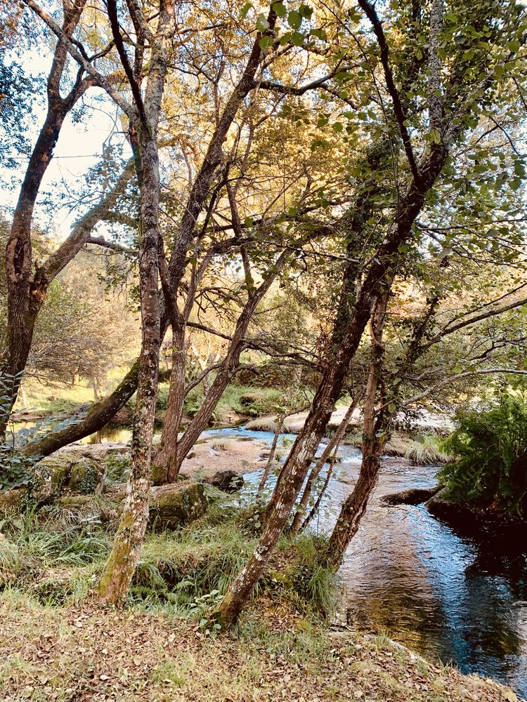 Quintinha no alto minho