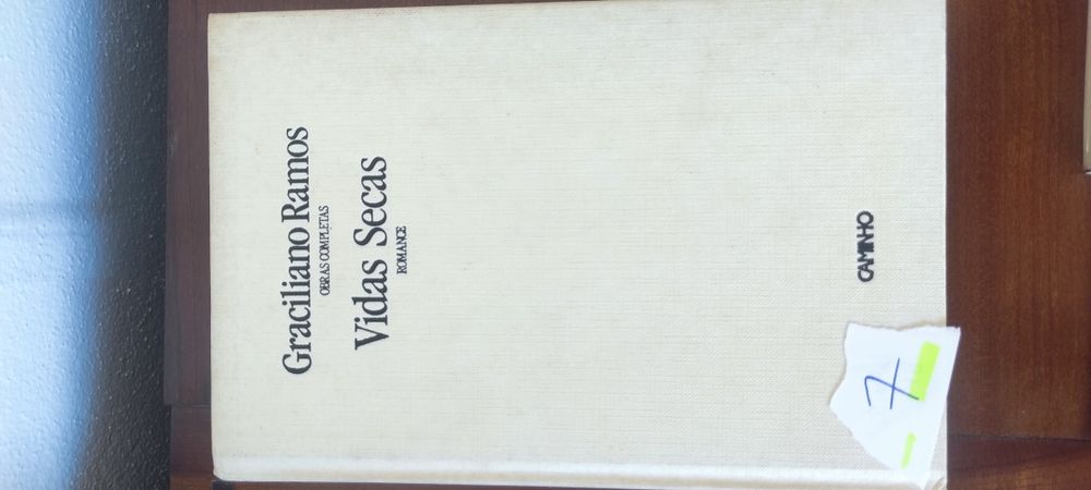 Vidas secas romance