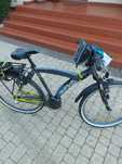 Rower Batavus Snake