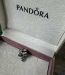 Pandora charms koralik srebro zakochane gołąbki ptaki