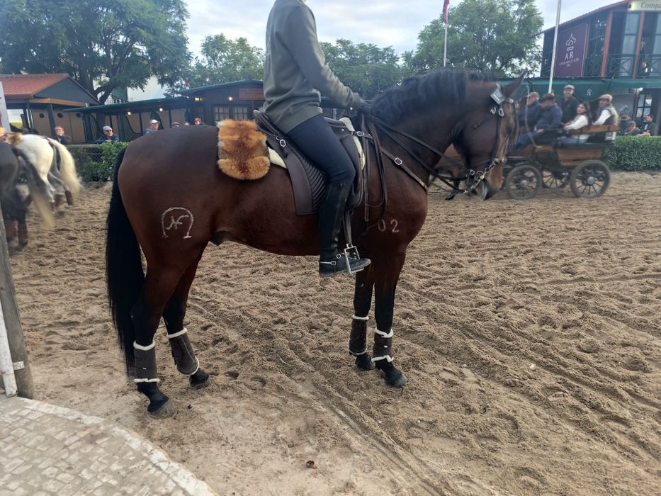 Poldro letra R montado nos três andamentos