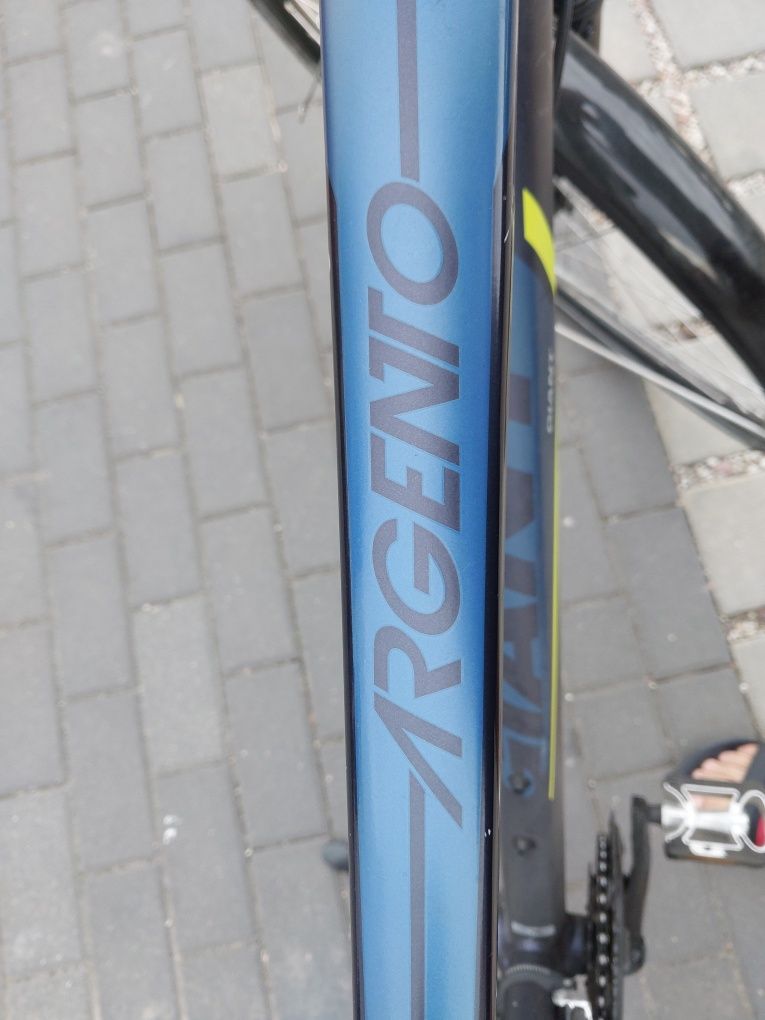 Rower Giant Argento