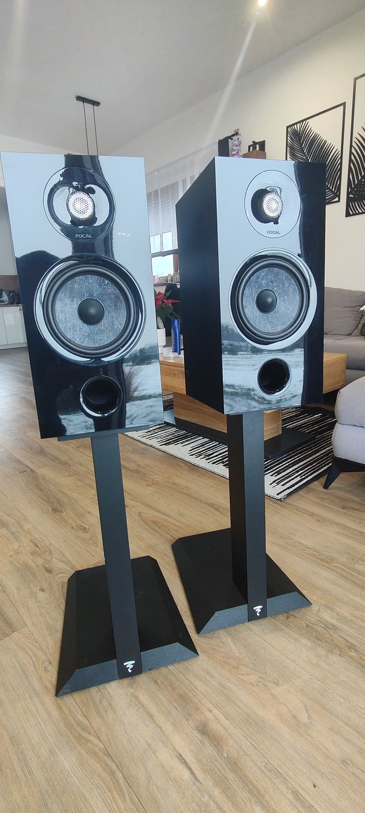 Kolumny Focal chora 806