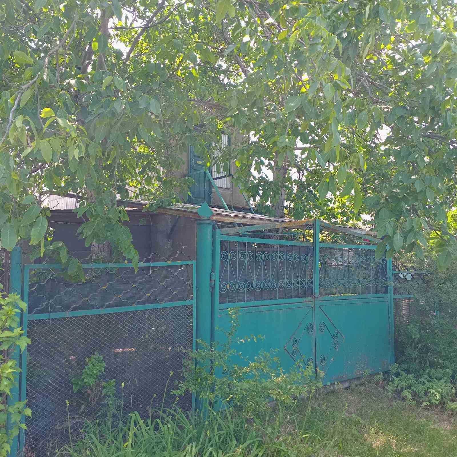 Дача в Новой ДОФИНОВКЕ