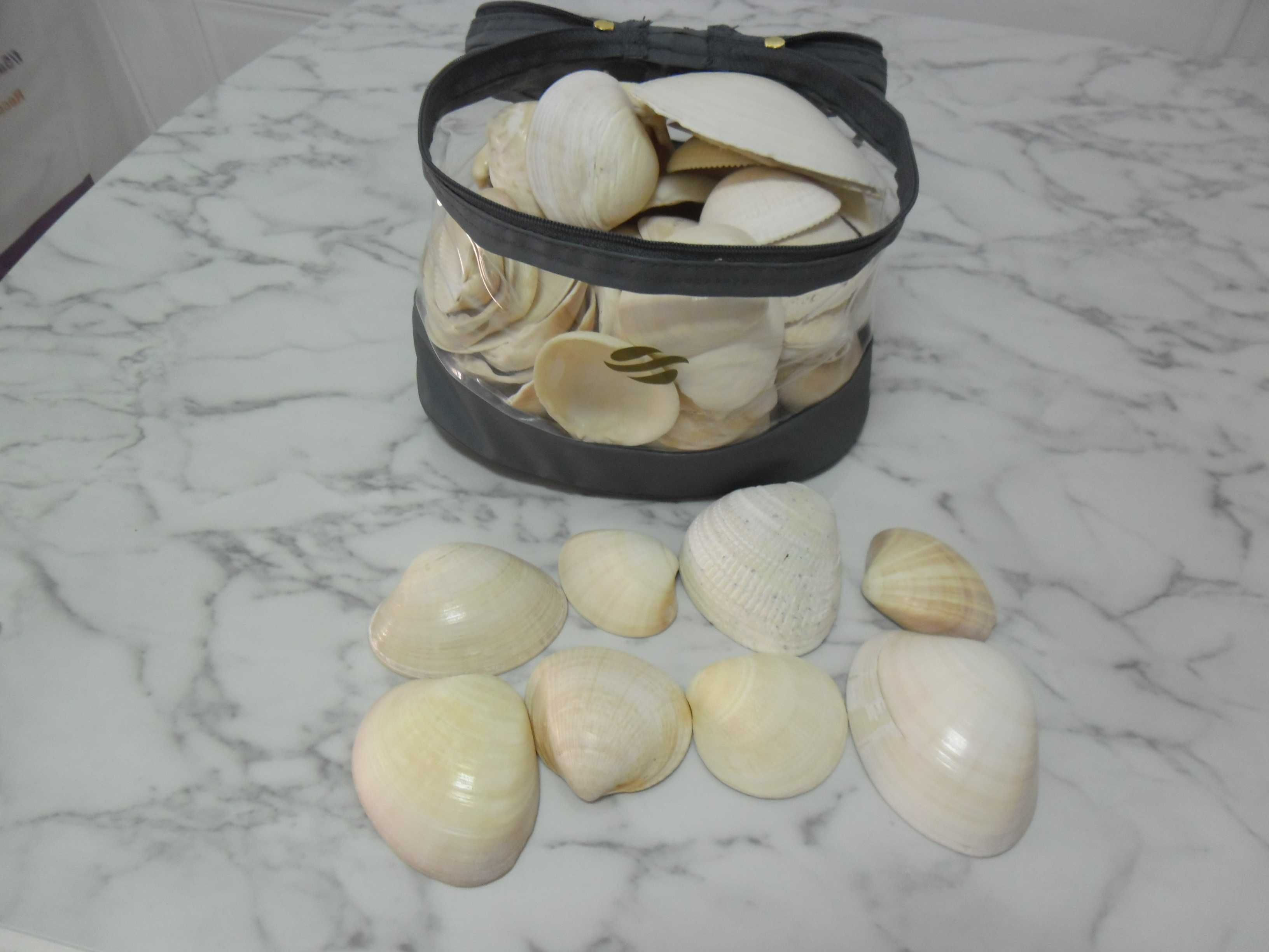 Bolsa cheia de conchas