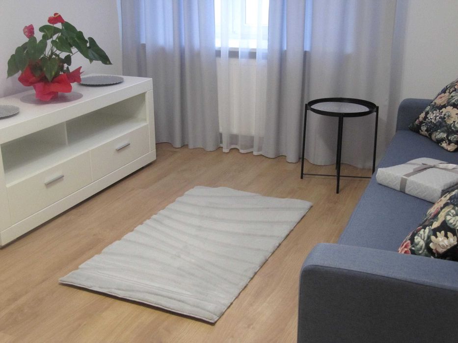 lokal mieszkalny do wynajęcia w Centrum Pragi Północ