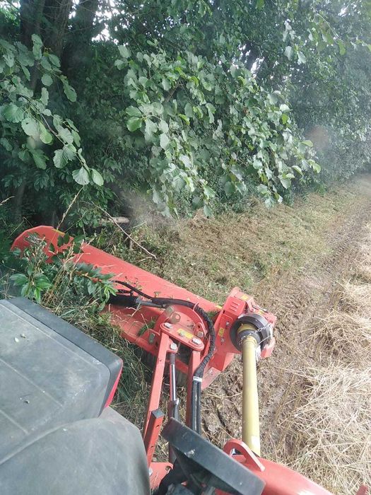 Wykaszanie Mulczowanie Rekultywacja Czyszczenie Nieużytków