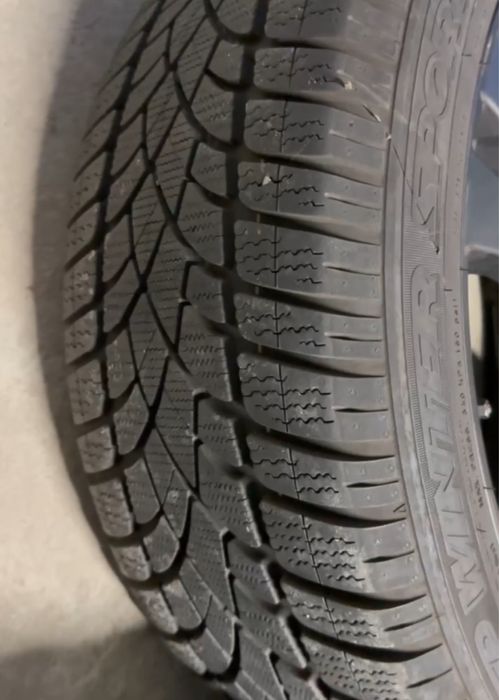 225.55.18 зима danlop