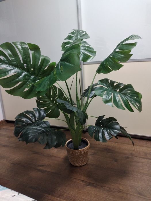 Monstera sztuczna