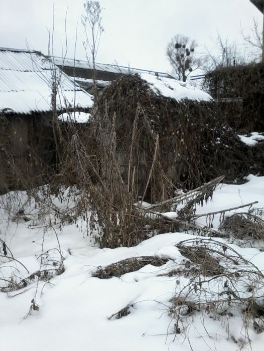 домик васильков очень срочно